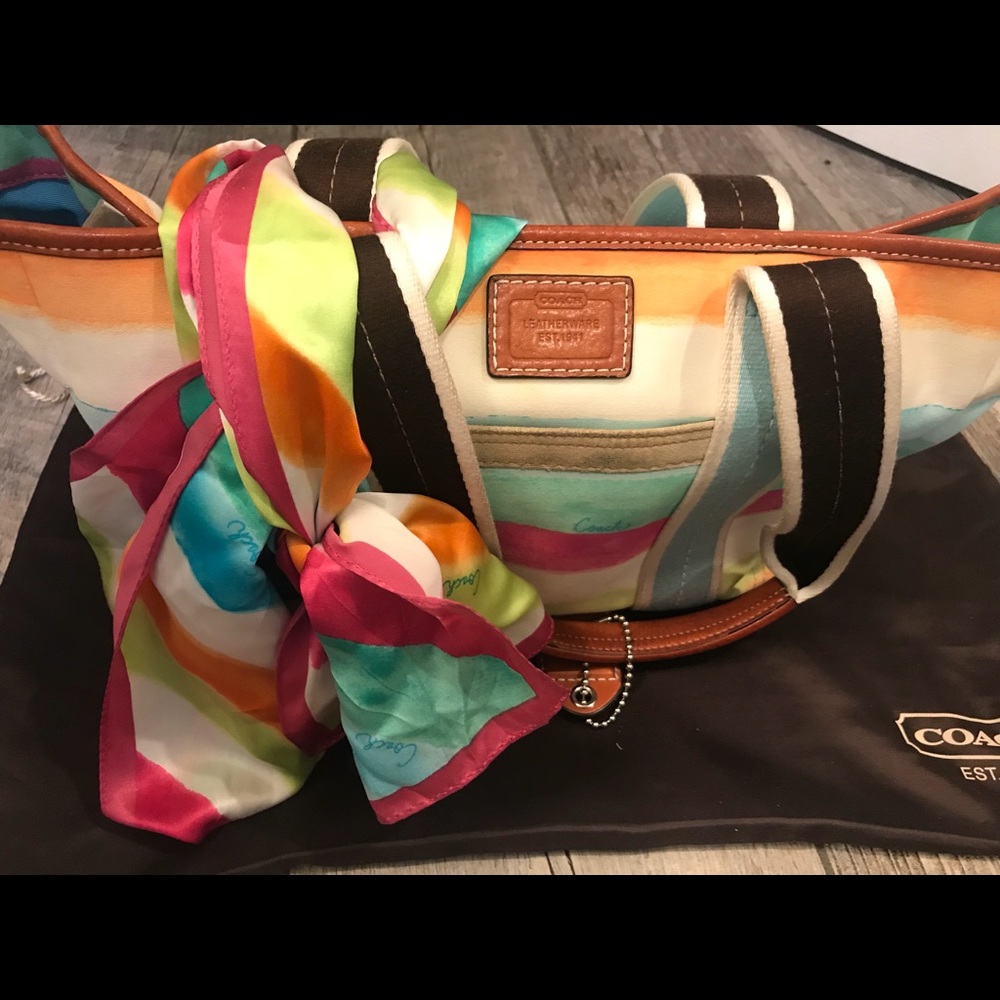 Coach Rainbow Bag